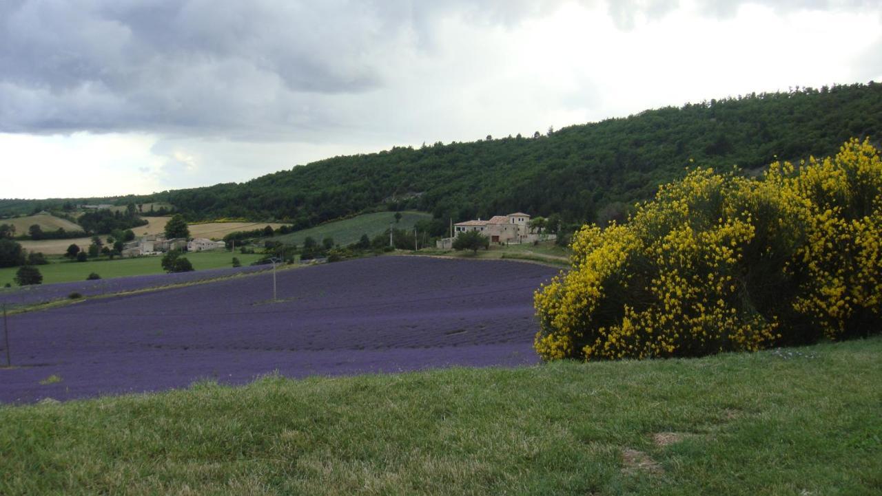 La Maison Bleue Sault-de-Vaucluse Eksteriør bilde